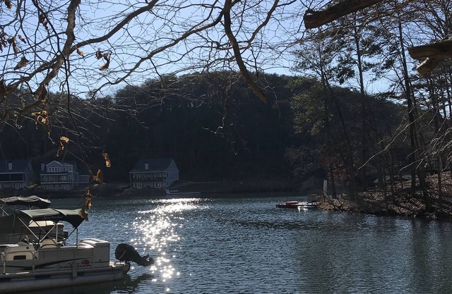 Lake Front in Cove.....Pet Friendly With Huge, Enclosed Water Level Deck