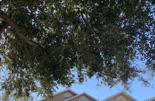 Lake Nona Home Near Medical City