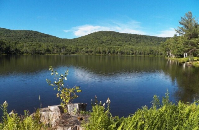 Lake view Cabin on Lake Heloise