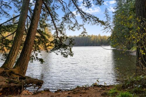 Lake View House W Beautiful Acres To Explore