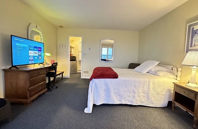 Lake Views, Pet Friendly, 50"4kTV, DT Petoskey
