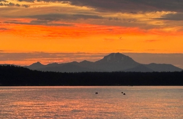 Lakefront Home W/Outstanding Views Of Mt. Lassen, Dock, Buoys and Fishing