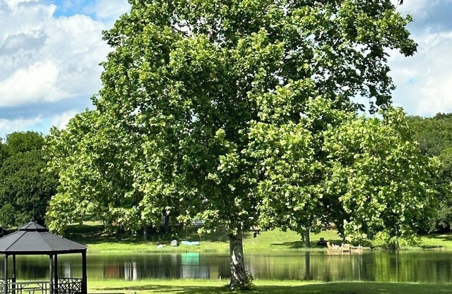 Lakefront home with all of the ingredients for a perfect family getaway!