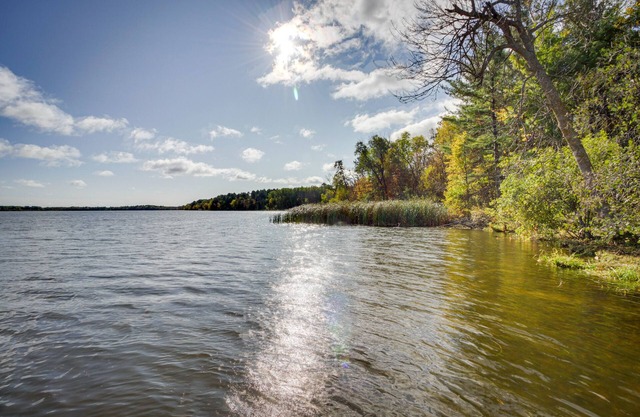 Lakefront Park Rapids Cabin w/Grill & Fire Pit!