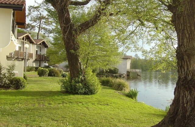 Lakeside apartment