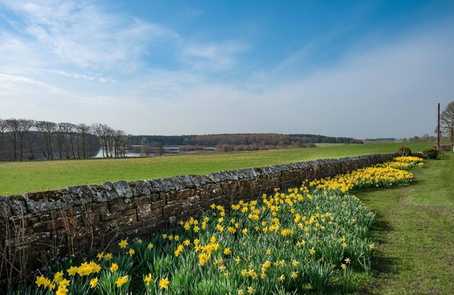 Lakeside Cottage, Alice in Capheaton, Northumberland - sleeping 4 guests in two bedrooms