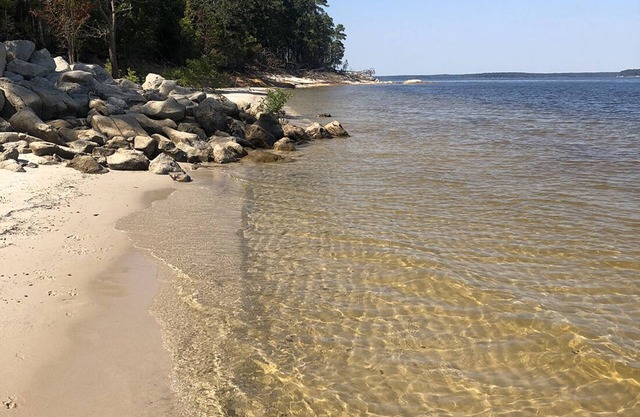 Lakeside cottage, water access + pet friendly