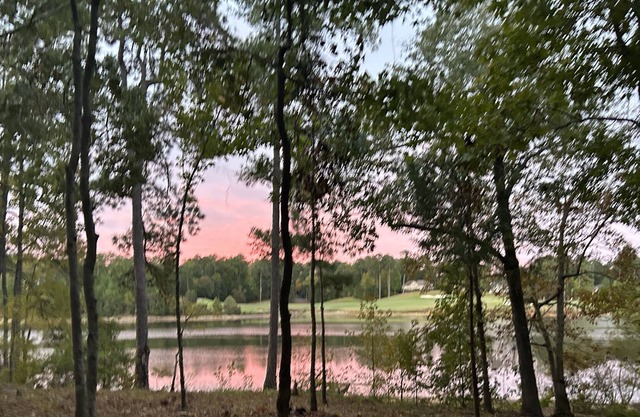 Lakeside Retreat, Lake Thurmond: Perfect 4 Golfers, Families & Lake Enthusiasts!