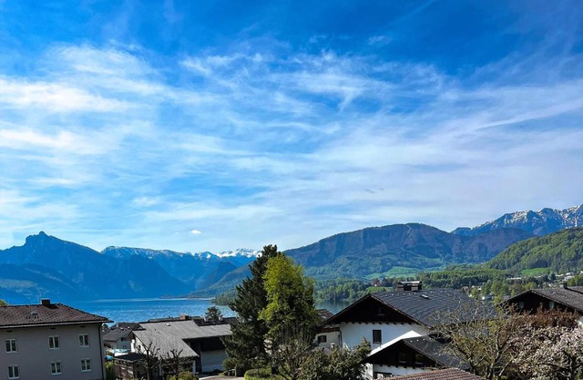 Lakeside Traunsee Apartment