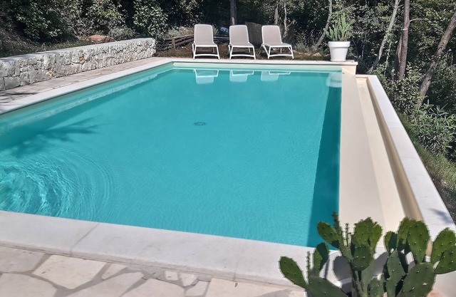 lakeview and modern saltwater pool