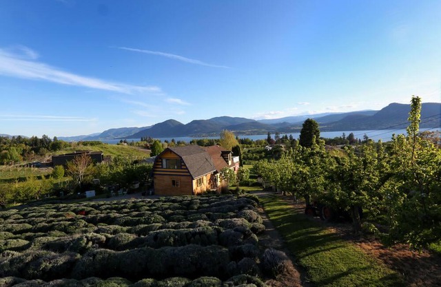 Lakeview cottage in orchard. Walk to lake & village. Wine, dine, play, relax.