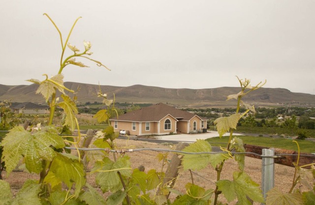 Laliik Iniit North - Red Mountain hideout among the vines.