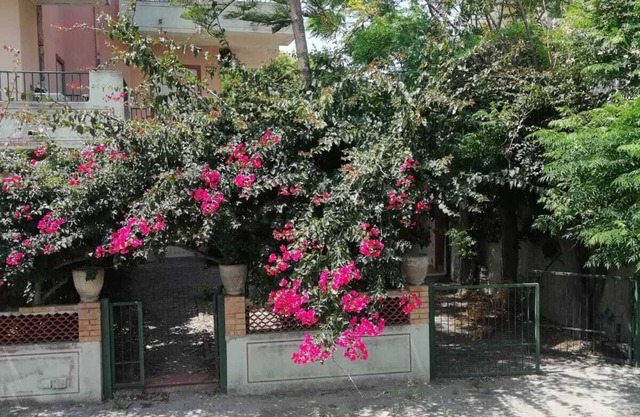 lamanna house pink building