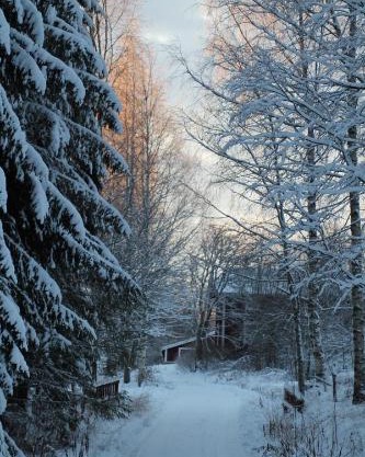 Lamminkangas Cottage
