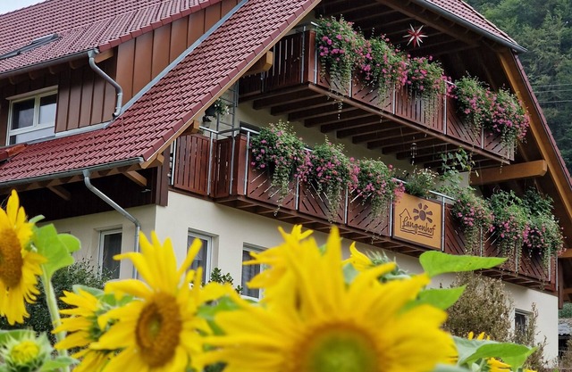 Langenhof - Holiday apartment 110sqm with air conditioning, vacation on the farm