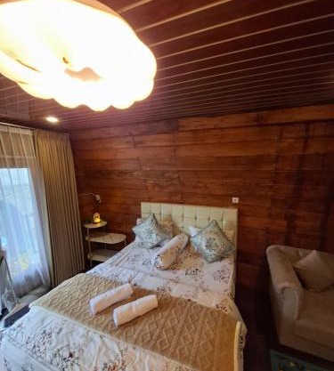 Langit dieng cabin