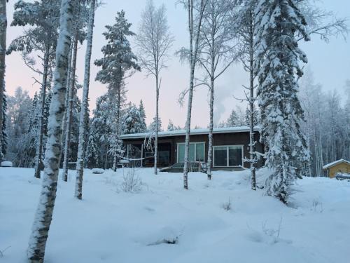Lapland Lakefront Villa - Northern Lights & Safari
