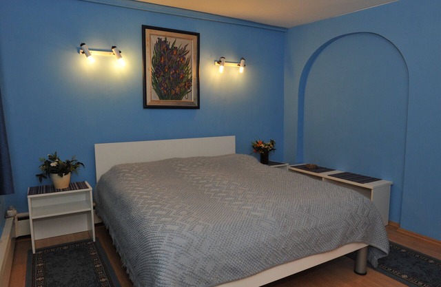 Large 2BR Apartment Sonja with garden, free parking & WiFi