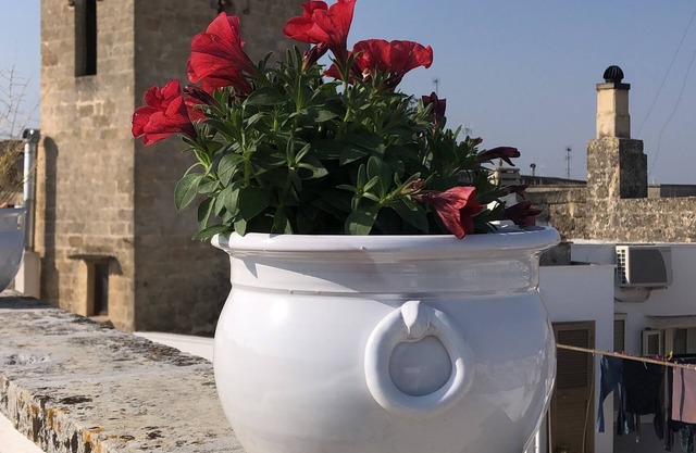 Large accommodation nl historical center with private terrace of 150 sqm