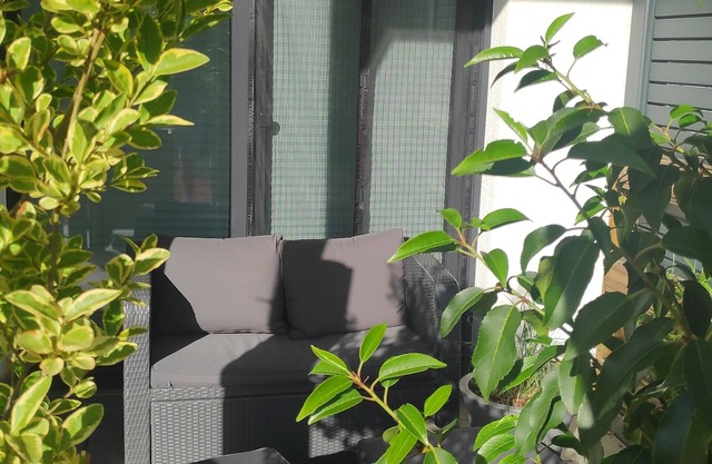 Large apartment (100MBitWiFi + bathtub + terrace)