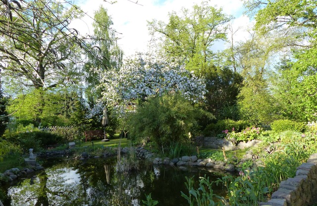 Large apartment (92 sqm) "sea eagle" 1-6 people in a great location