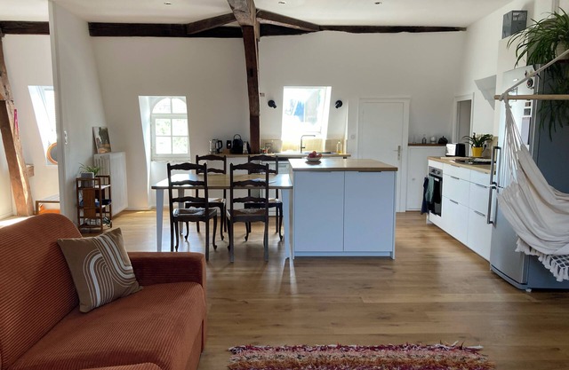 Large apartment in historic center
