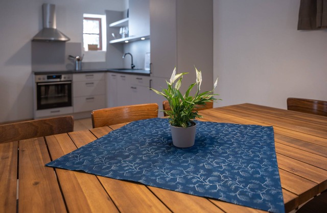 Large apartment with terrace 1200sqm garden in central Burgenland