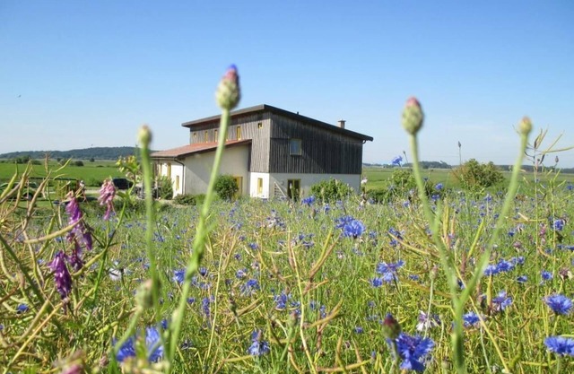 Large apartment with a view of Usedom and Achterwasser on the nature reserve