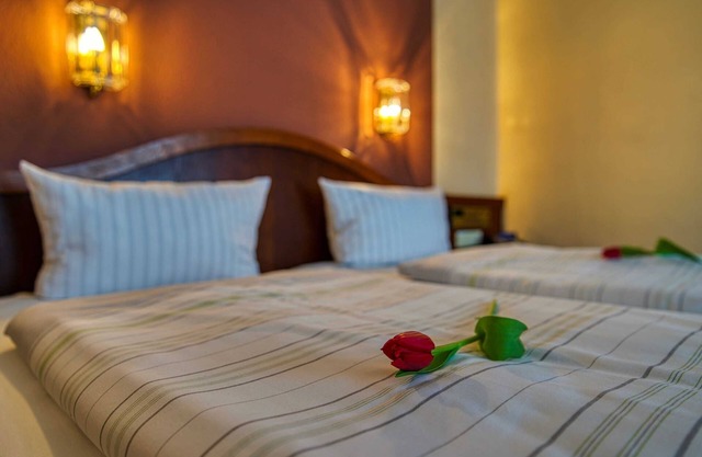 Large double room - Reichels Parkhotel