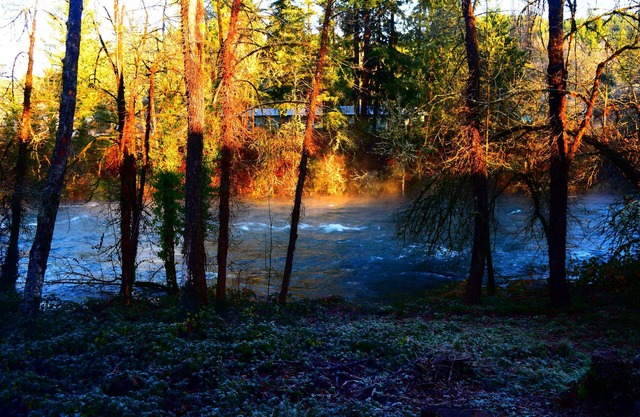 Large Family Friendly House on the Santiam River w/Hobbit Door!