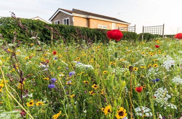 Large garden, dogs welcome,10 Minutes to Beach, EV charger, solar power, wifi.