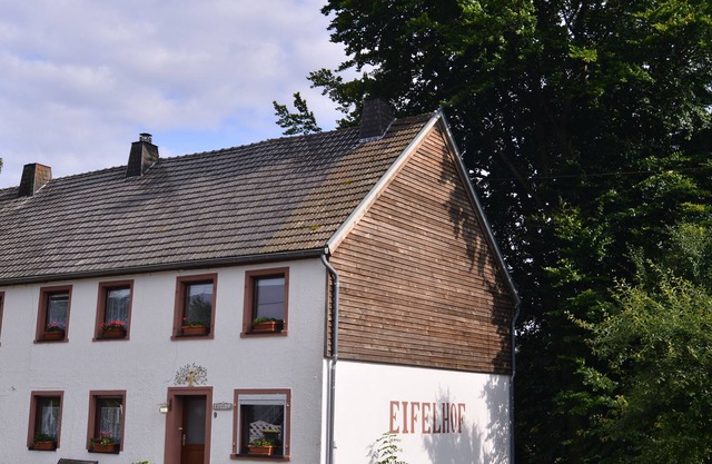 Large holiday home for 12 p. in a rural location in the Eifel