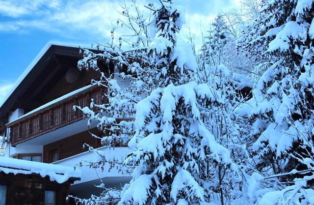 Large holiday home near the ski lift