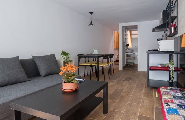 Large independent duplex apartment with terrace