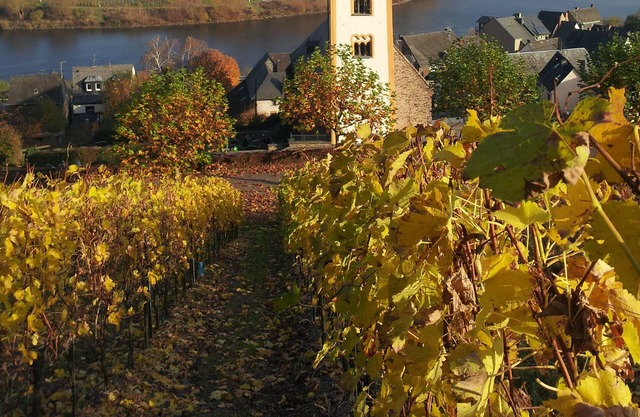 Large, luxurious holiday home with views Größzügigem (10/12 pers.)