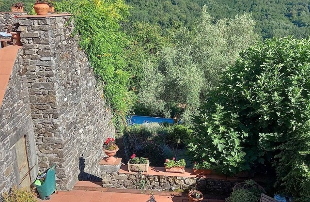 Large quality Medieval house with pool. Sleeps 20+. Complete privacy.