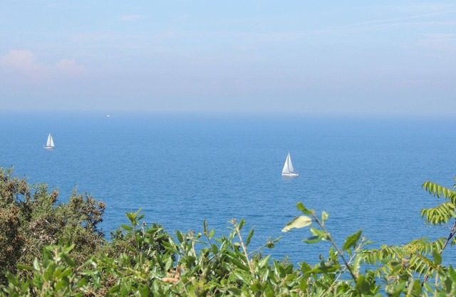 Large studio with sea view
