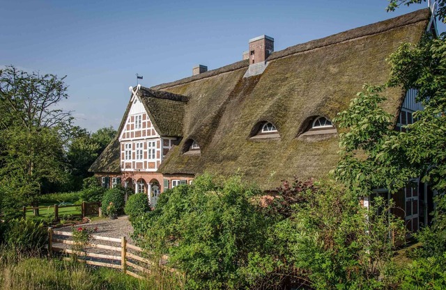 Large thatched house with garden and jetty directly on the Oste river