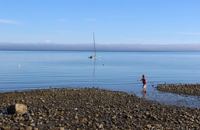 Large Vacation House near Tsawwassen 25 min to YVR
