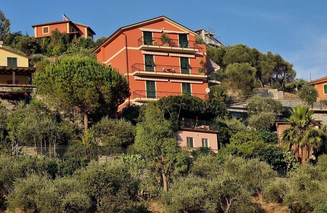 Large Villa 20+ 5 Terre Garden