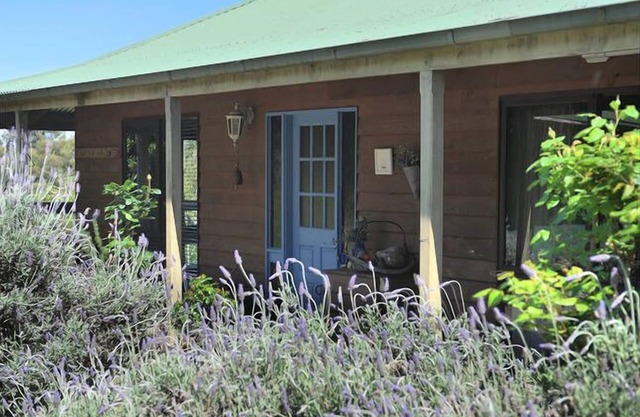 Lavender Farm Yarra Valley