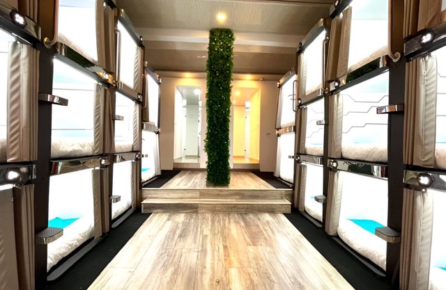 Lavid Hotel Kennedy