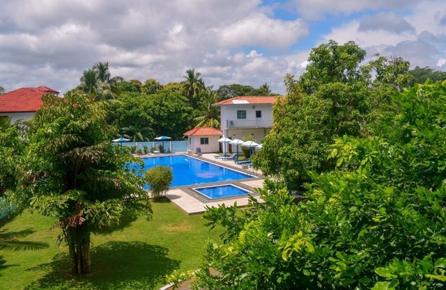 Lavinia Negombo