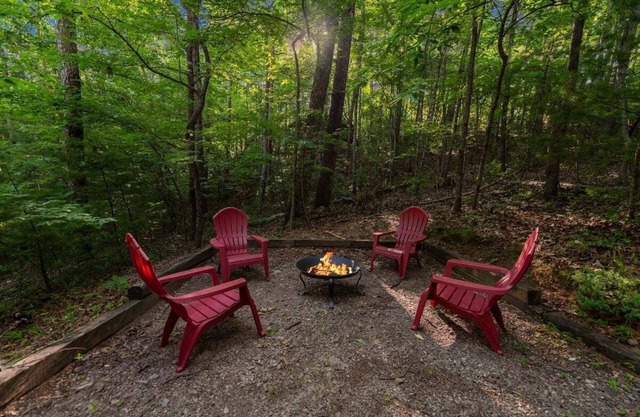 Lazy Bear Den of Cherry Log Mountain