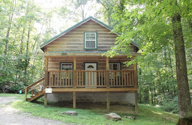 Lazy Lane Cabins - Bear Hollow