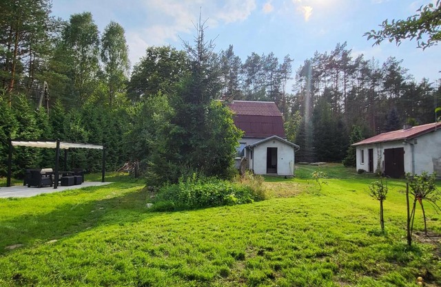 Leśne Studio