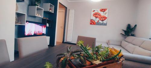 Le case di Sara - Grey Palm
