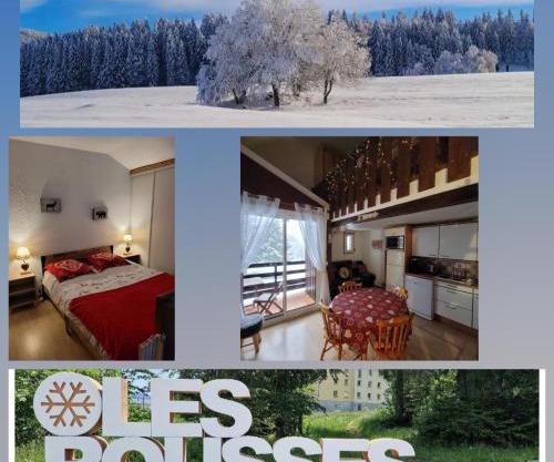 LE CHALET DES SAPINS, Superbe Duplex avec belle vue, Au Coeur Des Rousses, Tout confort 5 pers, Draps inclus, parking gratuit