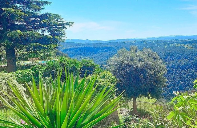 Le Figuier de Saint-Cé - Small garden - Terrace - View
