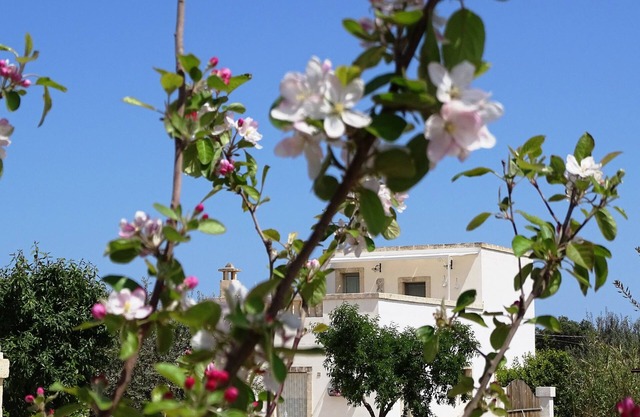'Le Fogge' is a place in contact with nature and the perfumes of Puglia